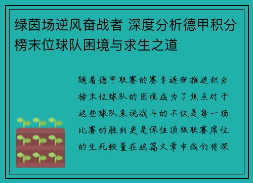 绿茵场逆风奋战者 深度分析德甲积分榜末位球队困境与求生之道