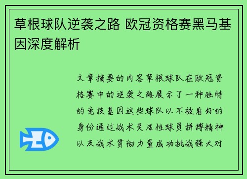 草根球队逆袭之路 欧冠资格赛黑马基因深度解析